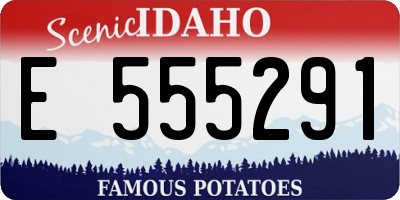 ID license plate E555291