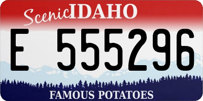 ID license plate E555296