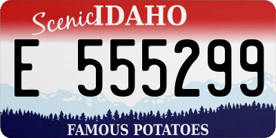 ID license plate E555299