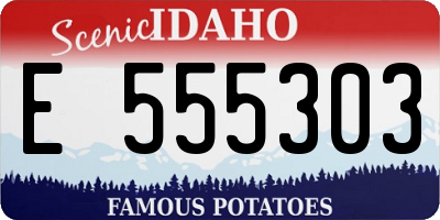 ID license plate E555303