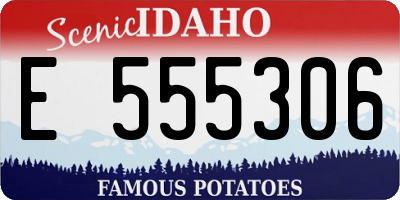 ID license plate E555306
