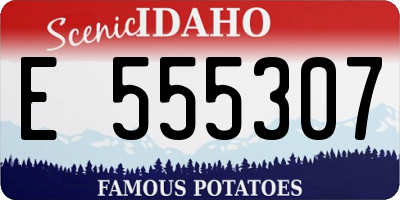 ID license plate E555307