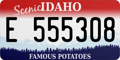 ID license plate E555308