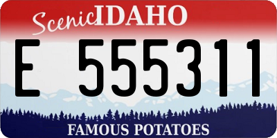 ID license plate E555311