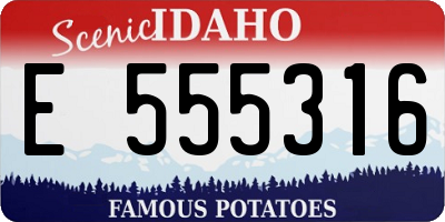 ID license plate E555316