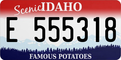 ID license plate E555318