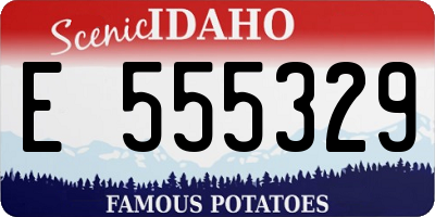 ID license plate E555329