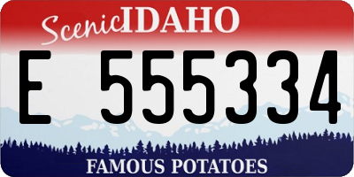 ID license plate E555334