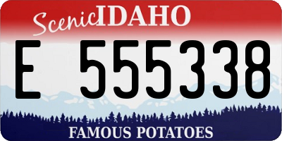 ID license plate E555338