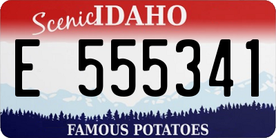 ID license plate E555341
