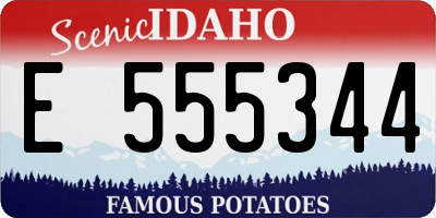 ID license plate E555344