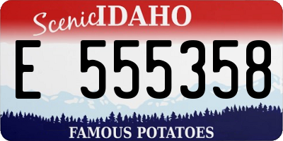 ID license plate E555358