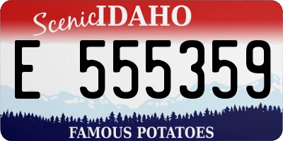 ID license plate E555359
