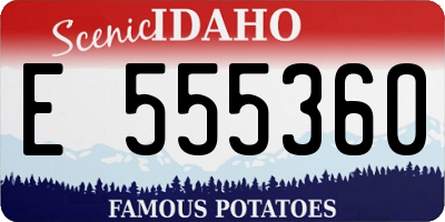 ID license plate E555360