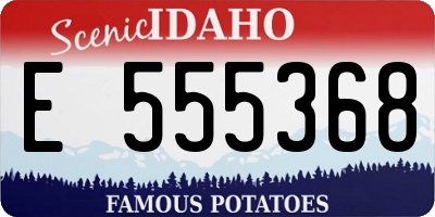 ID license plate E555368