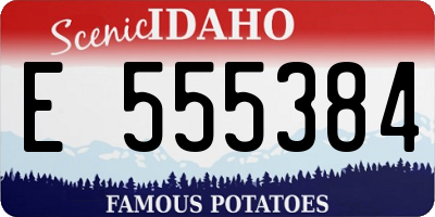ID license plate E555384