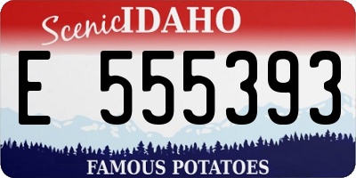 ID license plate E555393