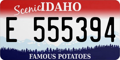 ID license plate E555394