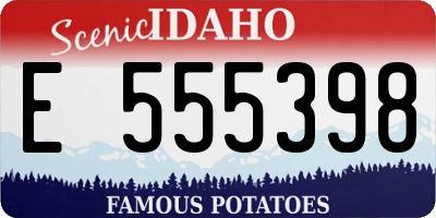 ID license plate E555398
