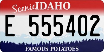 ID license plate E555402