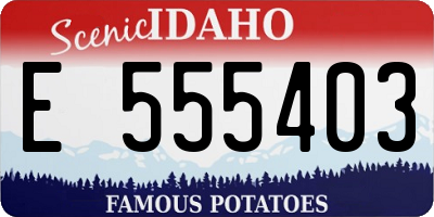 ID license plate E555403