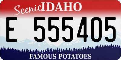 ID license plate E555405