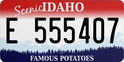 ID license plate E555407