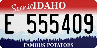 ID license plate E555409