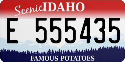 ID license plate E555435