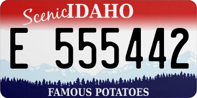 ID license plate E555442
