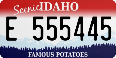 ID license plate E555445