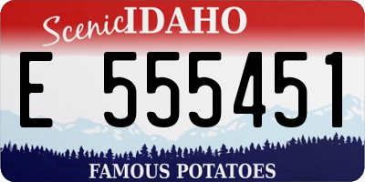 ID license plate E555451