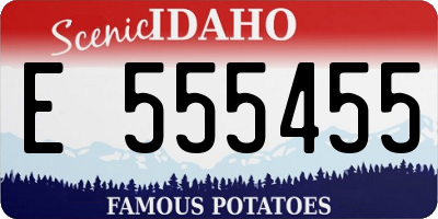 ID license plate E555455