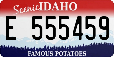ID license plate E555459