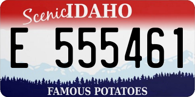 ID license plate E555461