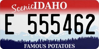 ID license plate E555462