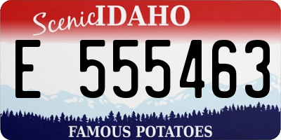 ID license plate E555463