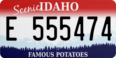 ID license plate E555474
