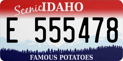 ID license plate E555478
