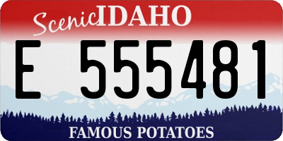 ID license plate E555481