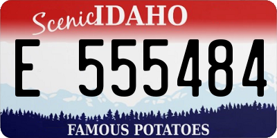 ID license plate E555484