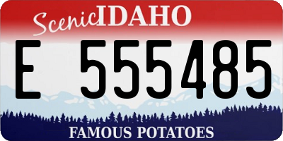 ID license plate E555485