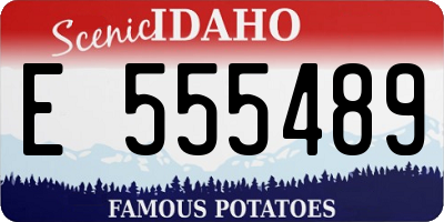 ID license plate E555489