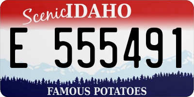 ID license plate E555491