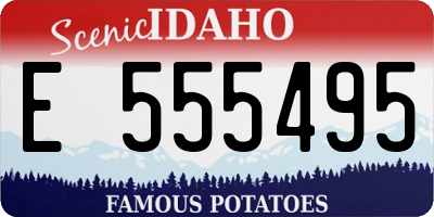 ID license plate E555495