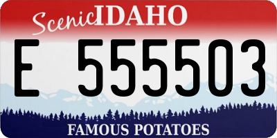 ID license plate E555503