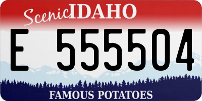 ID license plate E555504
