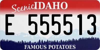 ID license plate E555513