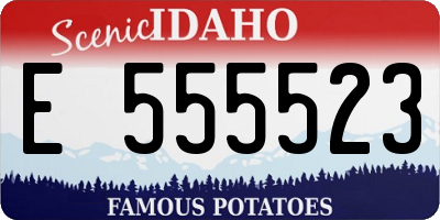 ID license plate E555523