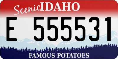 ID license plate E555531